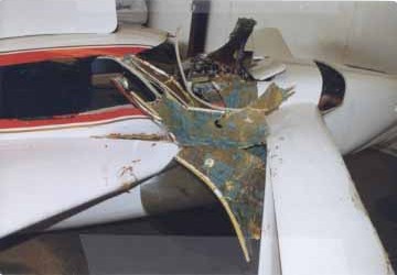 N242jp2.jpg