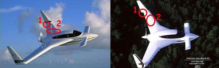 Differences between Long and Short Wing Velocity