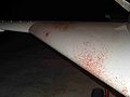 Airport Geese 7c.jpg