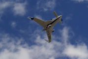 LV-X-284 3.jpg