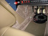 IMG 0883.jpg