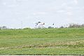 N47VE takeoff9.jpg