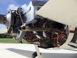 N49JF 21.jpg
