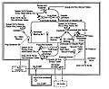 Lycoming oil schematic.jpg